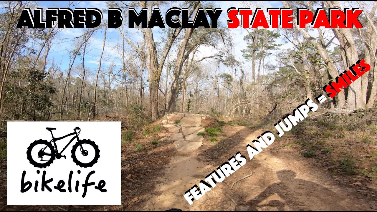 Alfred B  Maclay Gardens State Park MTB Trails - Tallahassee Mountain Bike Trails - Features & Jumps