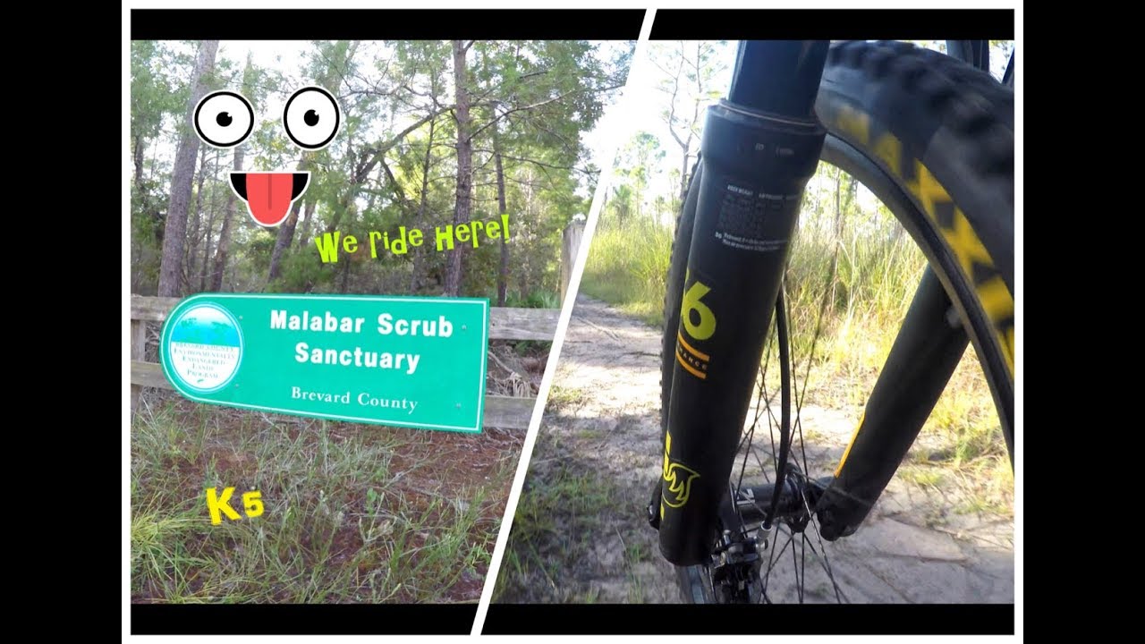 Mountain Bike Riding the Malabar Scrub sanctuary at turkey creek