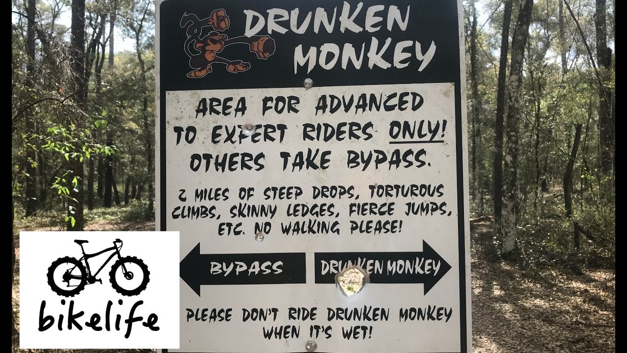 Riding Drunken Monkey Mountain Bike Trail - Croom MTB Trail System HAS HILLS - GoPro Session 5