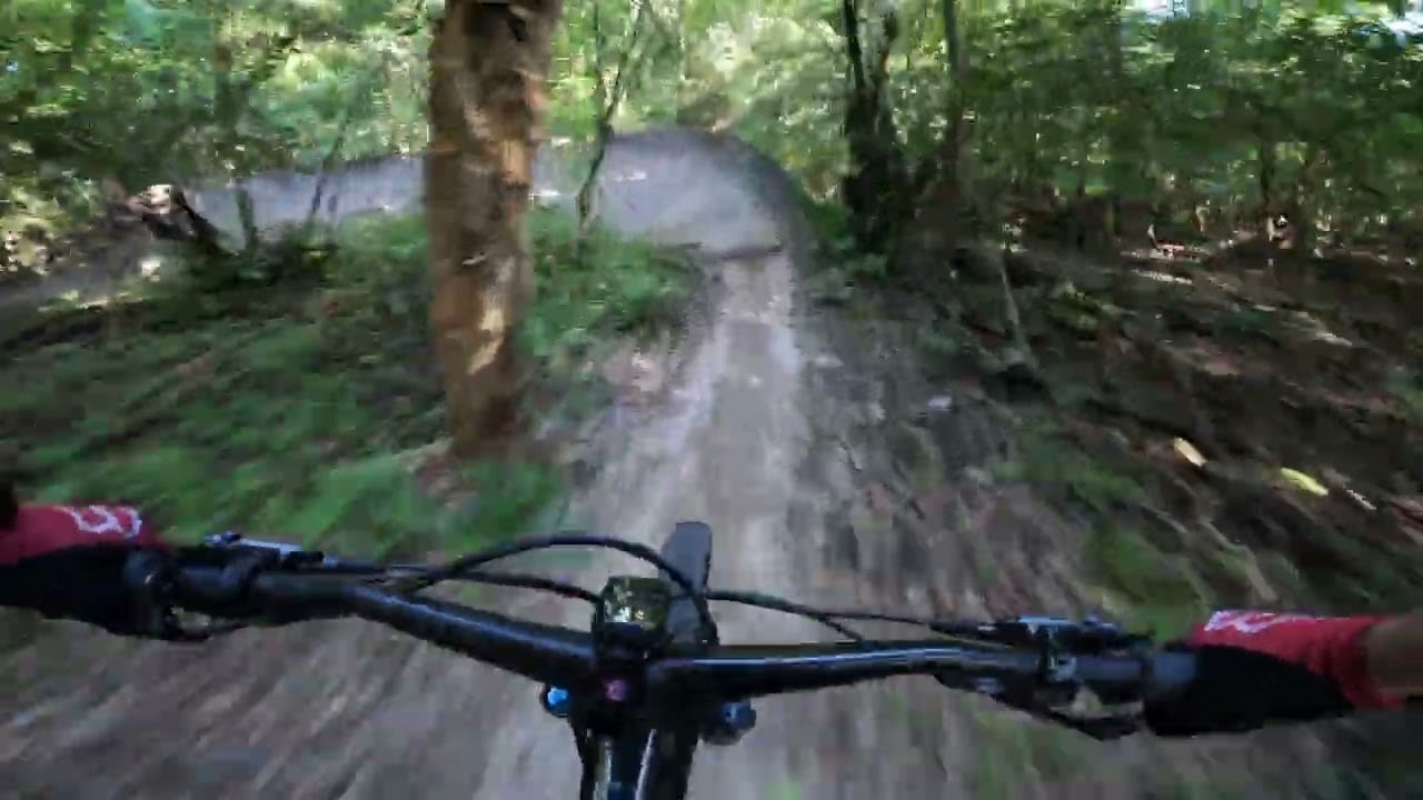 The Best Of Markham Mountain Bike Trails - Markham Park