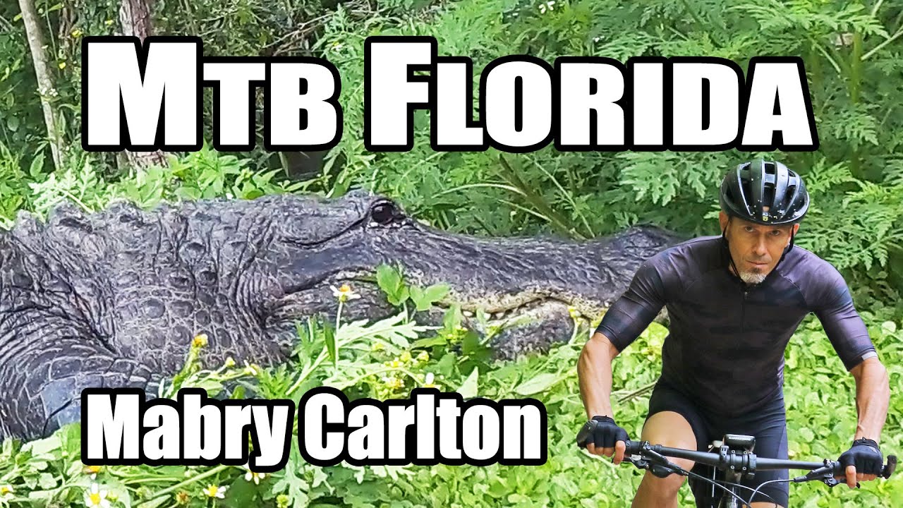 Florida Mountain Biking: Mabry Carlton Reserve home of Piggy's Revenge and BoldlyGo.