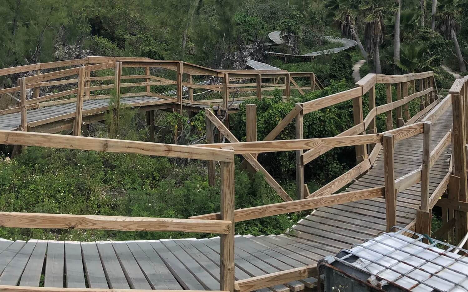 Virginia Key Mountain Bike Trail Key Biscayne Miami Trails