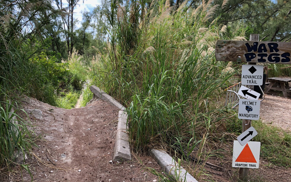 Virginia Key Mountain Bike Trail Key Biscayne Miami Trails